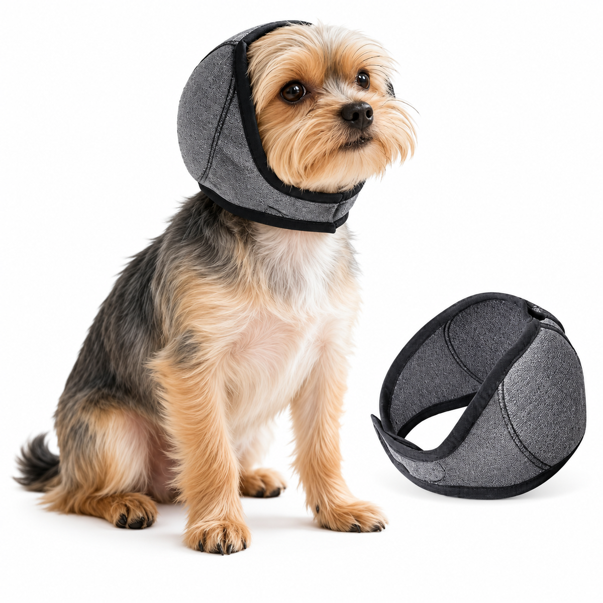 Noise-Reducing Ear Muffs for Dogs